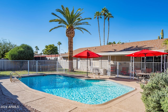 view of pool featuring a patio