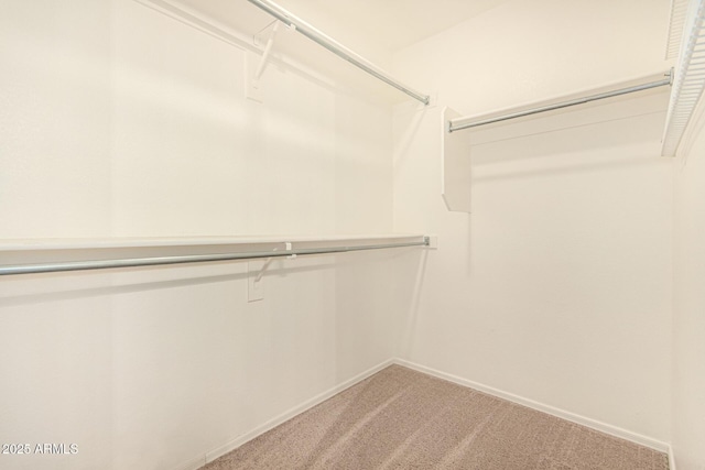 15011 W Verde Ln, Goodyear, AZ 85395 - spacious closet with light colored carpet