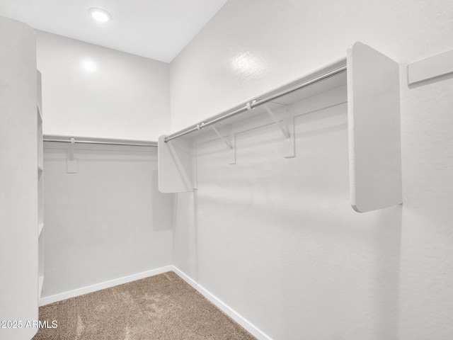 14160 W Georgia Dr, Surprise, AZ 85379 - walk in closet with carpet floors