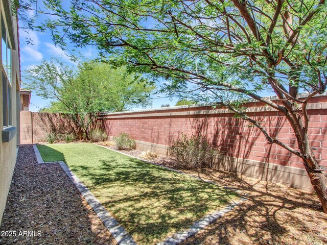 14160 W Georgia Dr, Surprise, AZ 85379 - view of fenced backyard