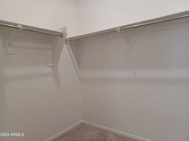 spacious closet featuring carpet