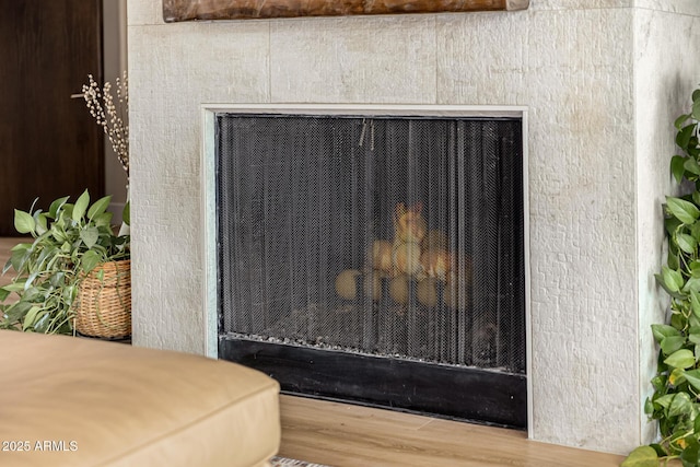 room details featuring a fireplace and wood finished floors