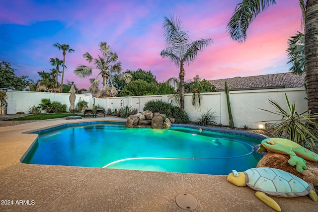 view of pool with a patio area, a fenced backyard, and a fenced in pool