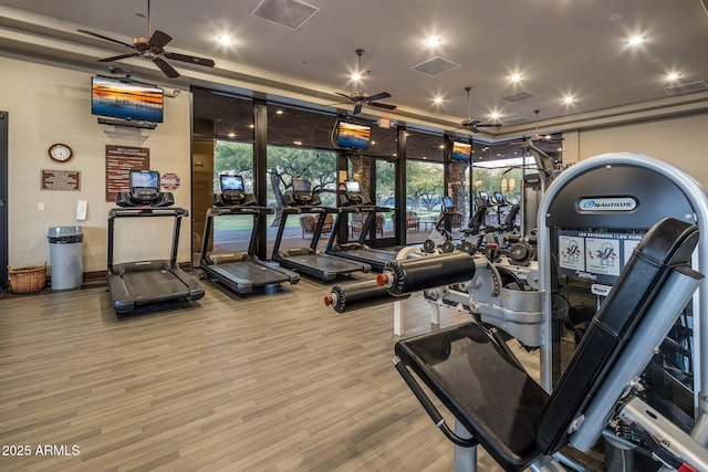 exercise room featuring hardwood / wood-style floors, expansive windows, and ceiling fan