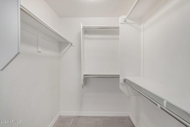 spacious closet featuring light colored carpet