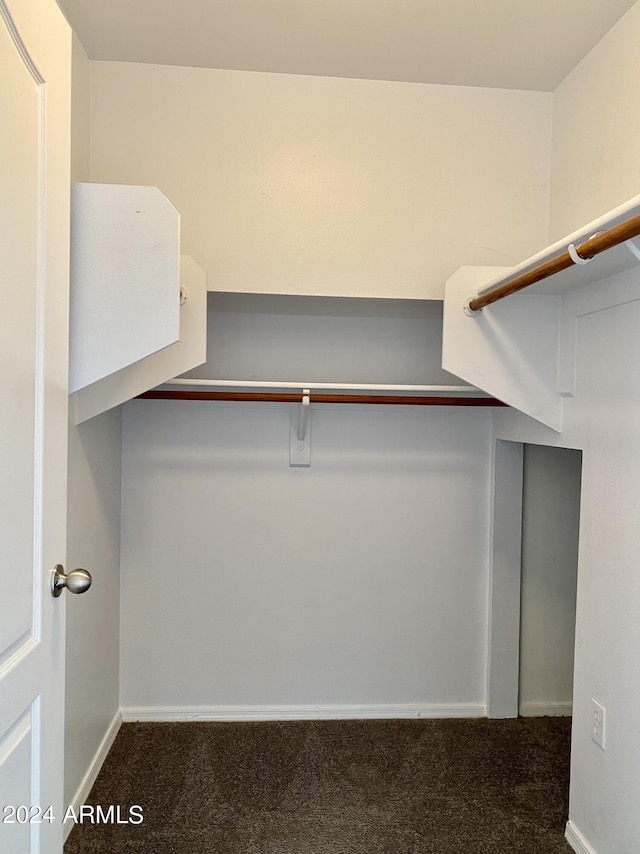 spacious closet featuring dark colored carpet