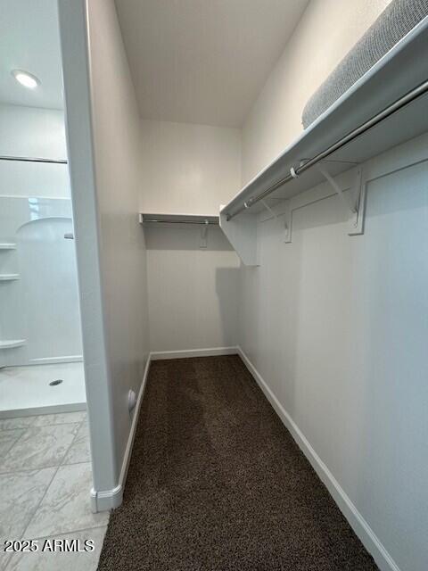 38055 W Excussare Way, Maricopa, AZ 85138 - walk in closet featuring carpet flooring