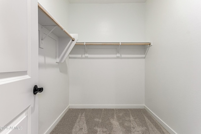 spacious closet with carpet
