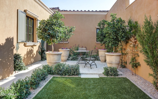 view of yard with a patio