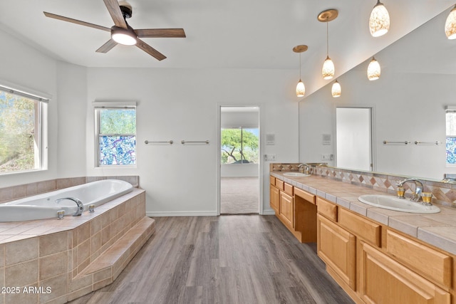 31234 N 47th Pl, Cave Creek, AZ 85331 - full bathroom featuring plenty of natural light, double vanity, wood finished floors, and a garden tub