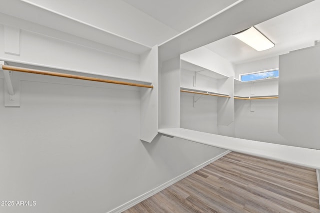 31234 N 47th Pl, Cave Creek, AZ 85331 - spacious closet featuring wood finished floors