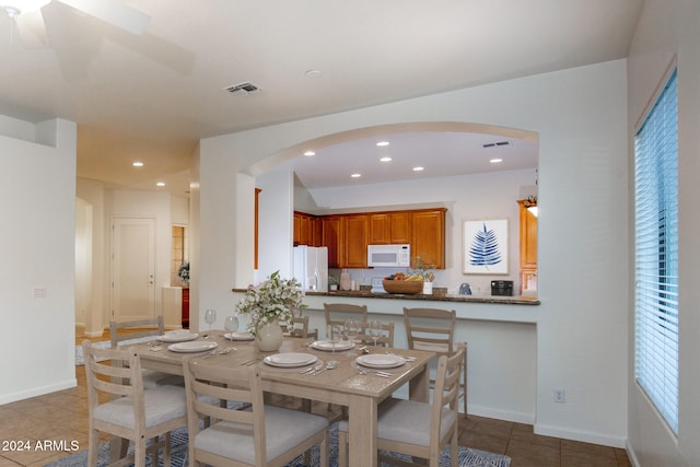 dining room featuring dark tile patterned flooring and plenty of natural light