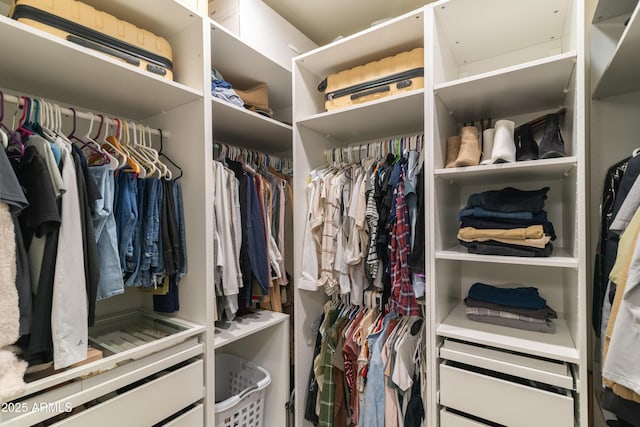 view of spacious closet