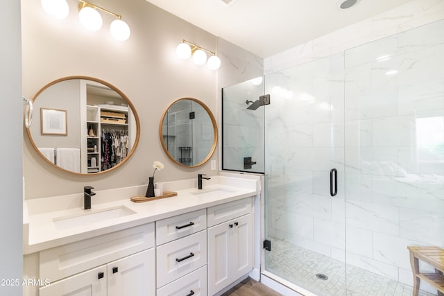 bathroom featuring vanity and a shower with shower door