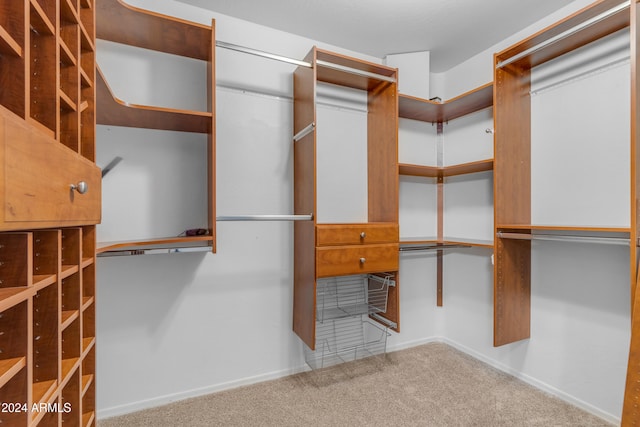 spacious closet with carpet