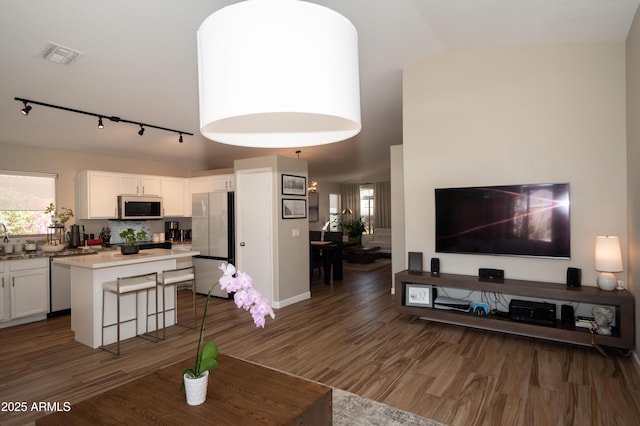 living room with lofted ceiling, dark hardwood / wood-style flooring, and a wealth of natural light