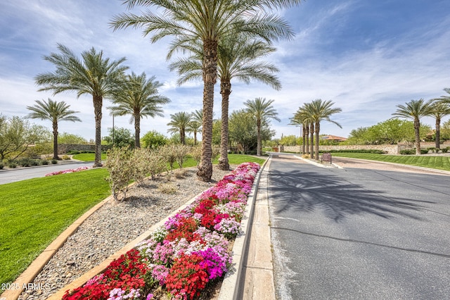 13204 W Via Dona Rd, Peoria, AZ 85383 - view of road with curbs