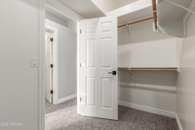 walk in closet with carpet flooring