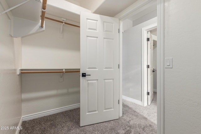 spacious closet with carpet floors