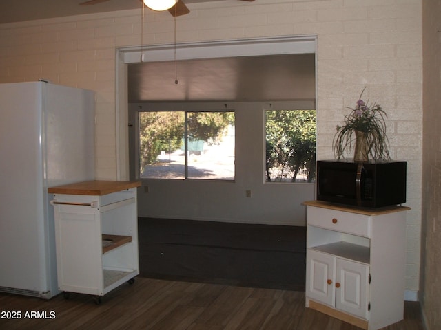 interior space featuring ceiling fan and dark hardwood / wood-style flooring