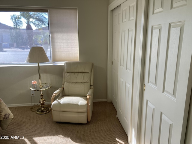 living area with carpet