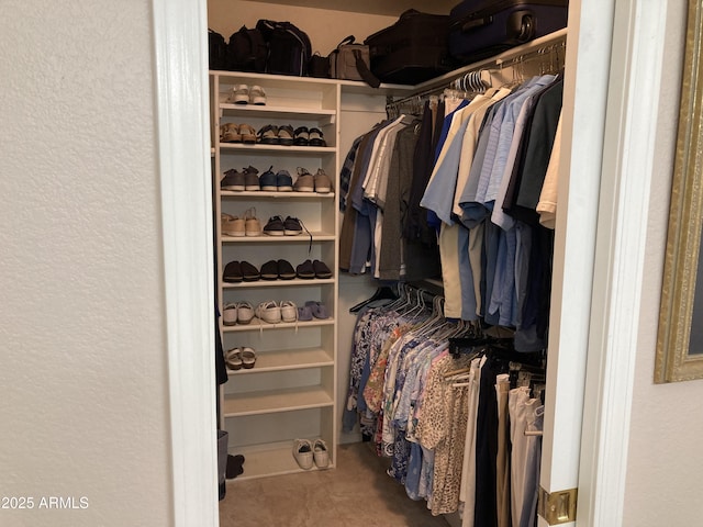 view of spacious closet