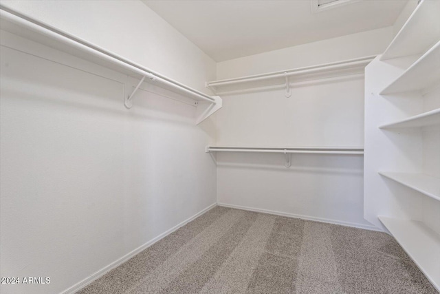 walk in closet with carpet flooring