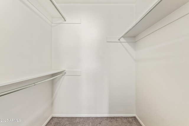 spacious closet featuring carpet