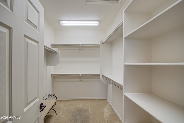 spacious closet with light carpet