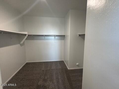 1336 W Hess Ave, Coolidge, AZ 85128 - spacious closet with carpet flooring and lofted ceiling