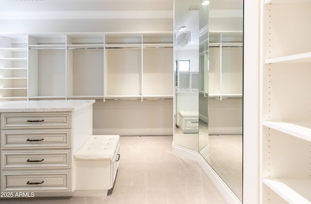 spacious closet featuring light colored carpet