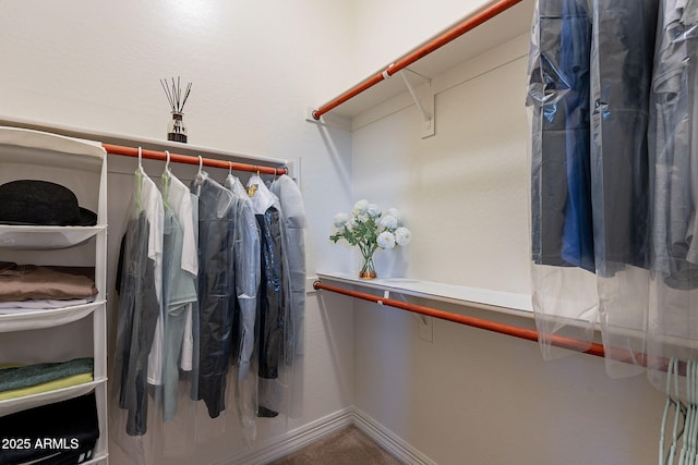 spacious closet with carpet