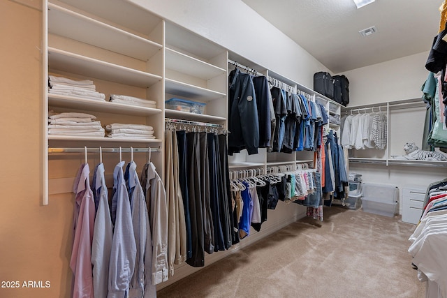 spacious closet featuring carpet