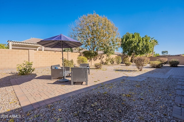 view of yard featuring a patio