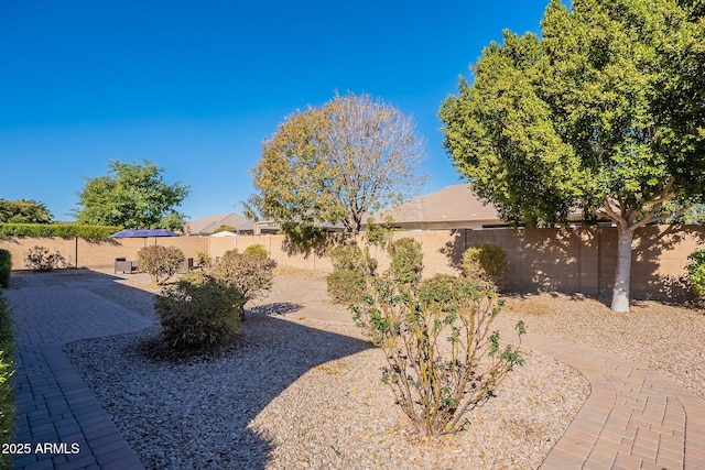 view of yard with a patio