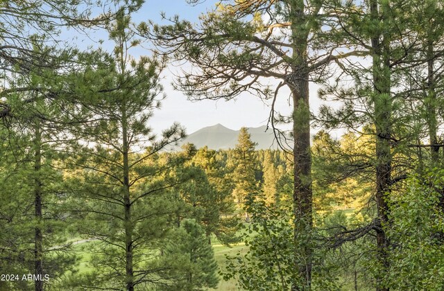 view of nature with a mountain view