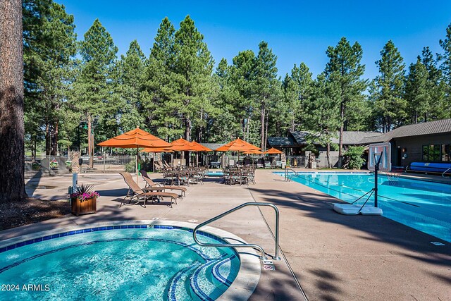 view of pool featuring a patio area