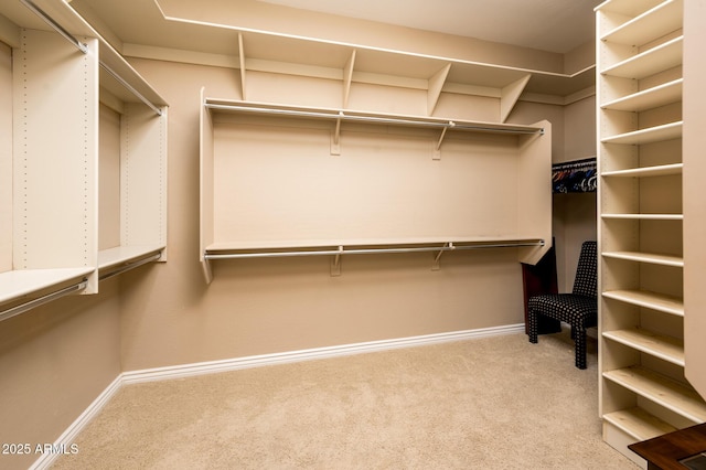 walk in closet with carpet flooring