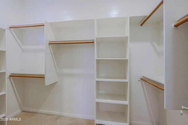 spacious closet featuring carpet floors
