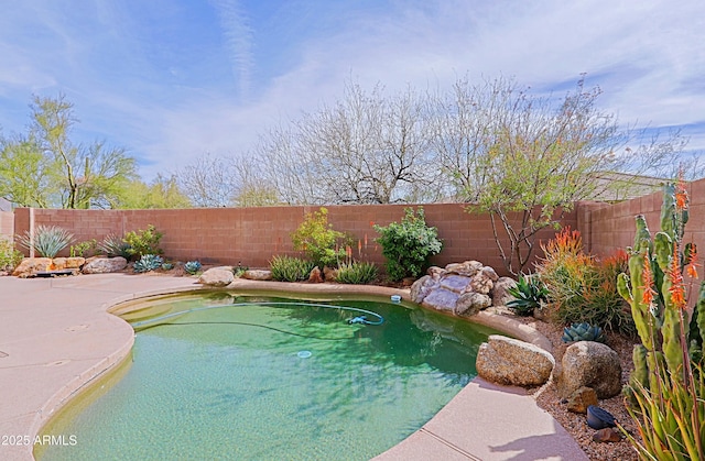 view of swimming pool with a fenced backyard and a fenced in pool