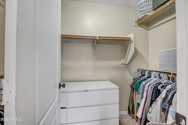 walk in closet with carpet flooring