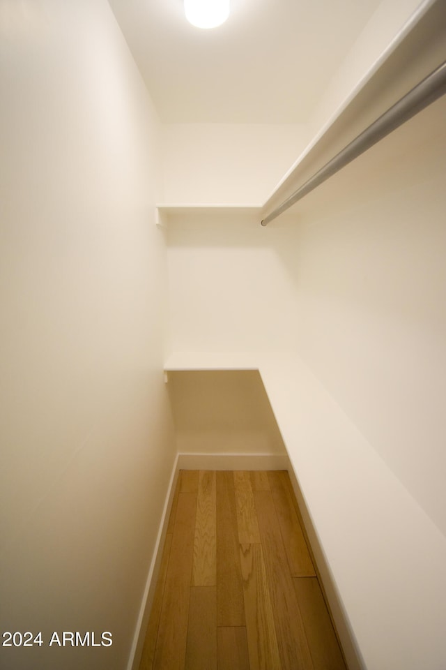 walk in closet featuring wood-type flooring