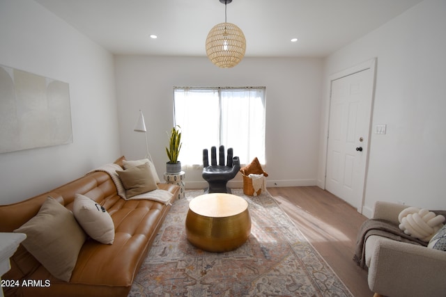 living room with hardwood / wood-style floors