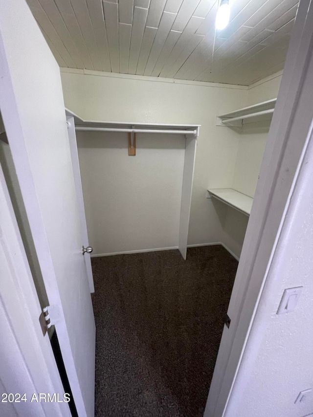 spacious closet featuring carpet