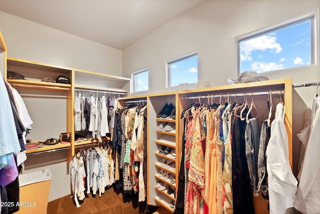 spacious closet featuring carpet