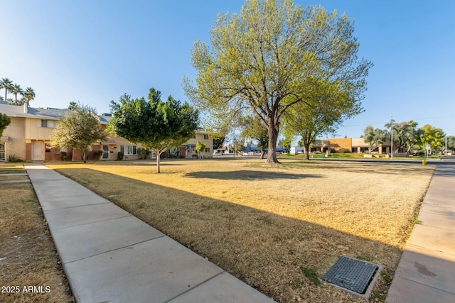 view of property's community with a yard