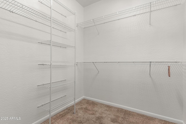 13600 N Fountain Hills Blvd Unit 501, Fountain Hills, AZ 85268 - spacious closet with carpet