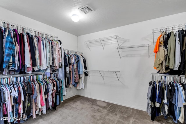 28014 N Jade St, San Tan Valley, AZ 85143 - walk in closet with visible vents and carpet flooring