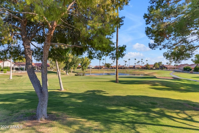 view of community featuring a yard