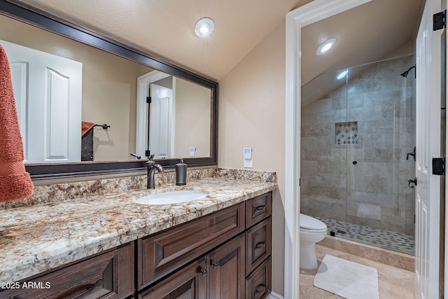 bathroom with vanity, a shower with shower door, lofted ceiling, and toilet